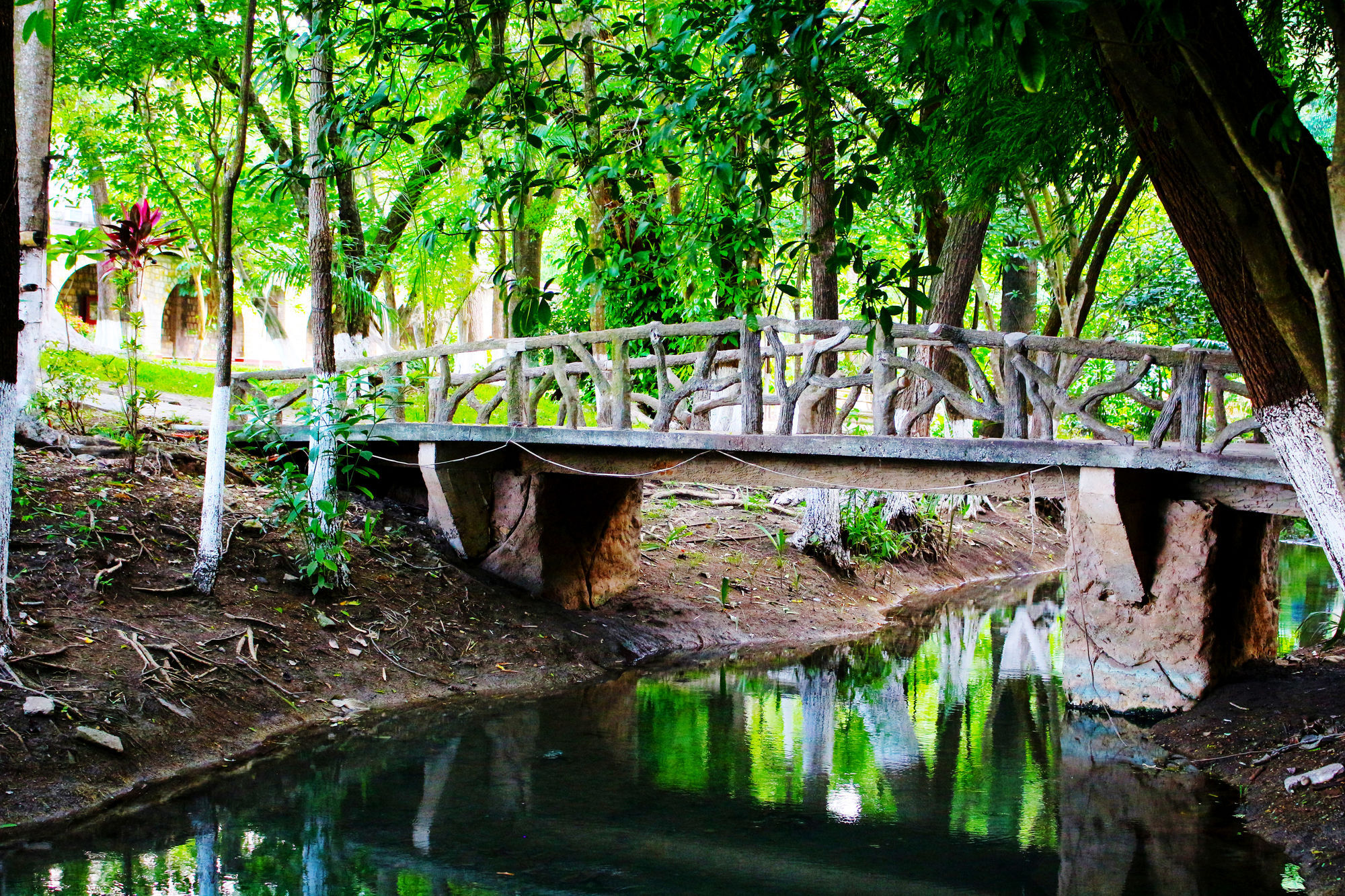Hotel Spa Taninul Los Puentes Εξωτερικό φωτογραφία